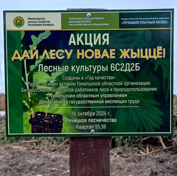 Дай лесу новае жыццё! Дай лесу новае жыццё!
