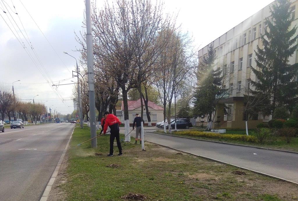 20 марта в Советском районе пройдёт субботник 20 марта в Советском районе пройдёт субботник