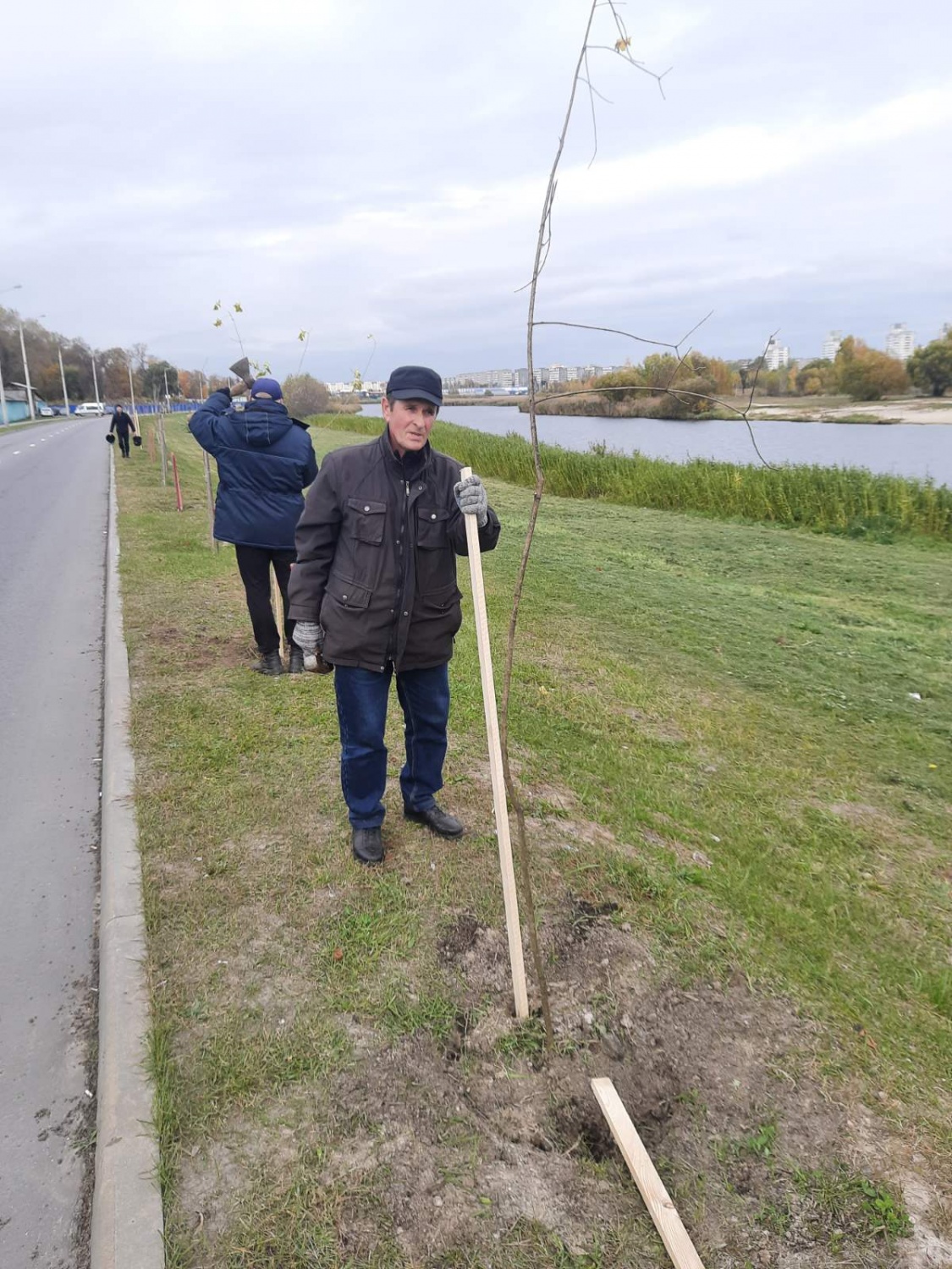 Аллея землеустроителей Аллея землеустроителей