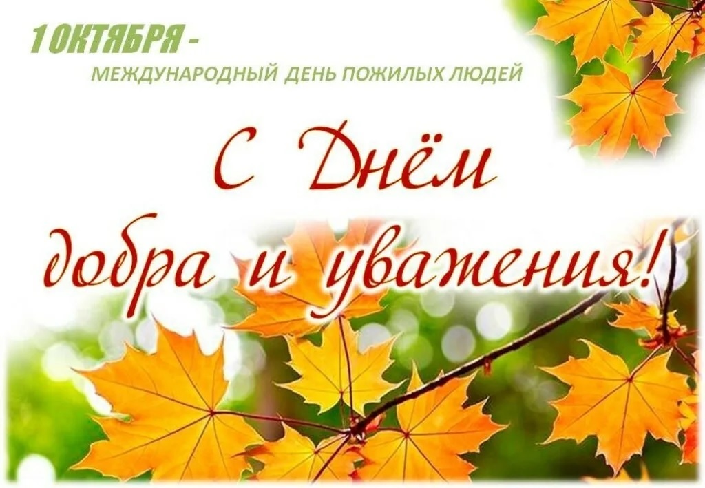 Международный день пожилых людей Международный день пожилых людей